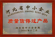 公司實(shí)力